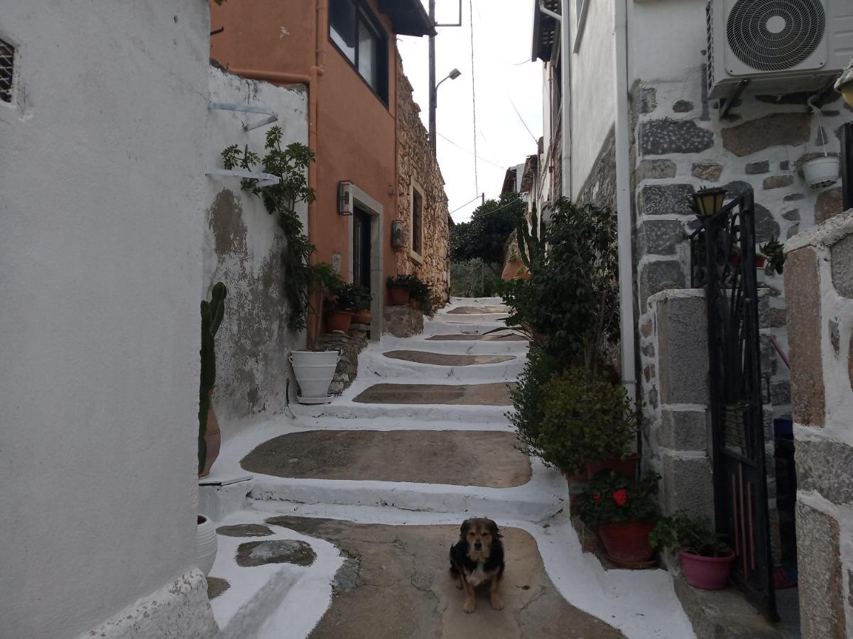Nektarios * Neapoli (Crete)