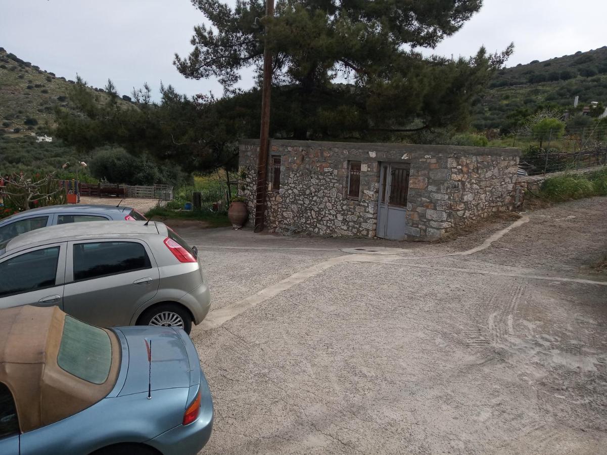 Nektarios *
