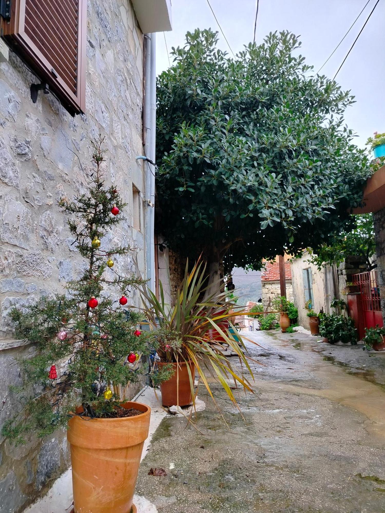 Nektarios Neapoli (Crete)