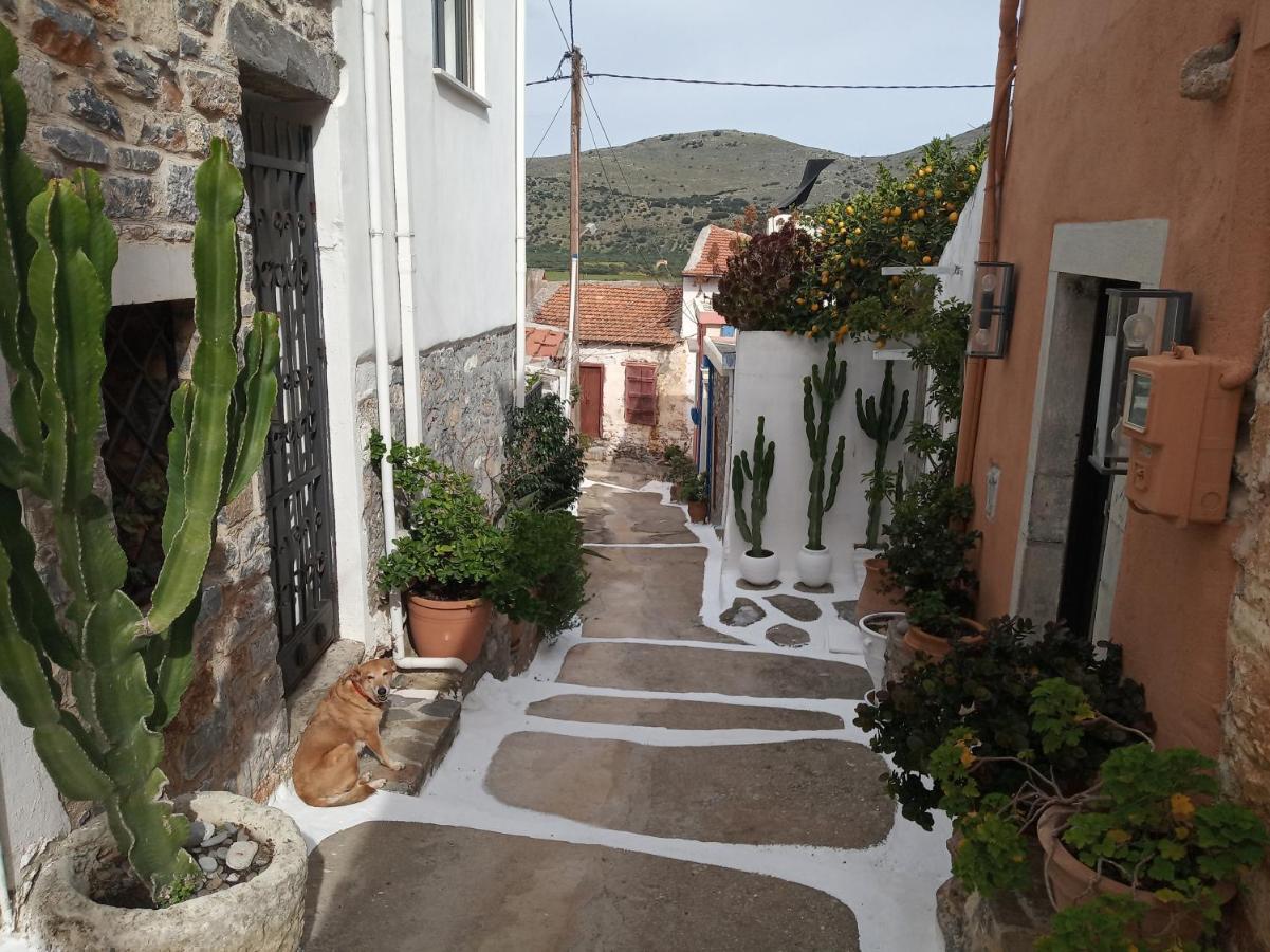 Nektarios * Neápolis