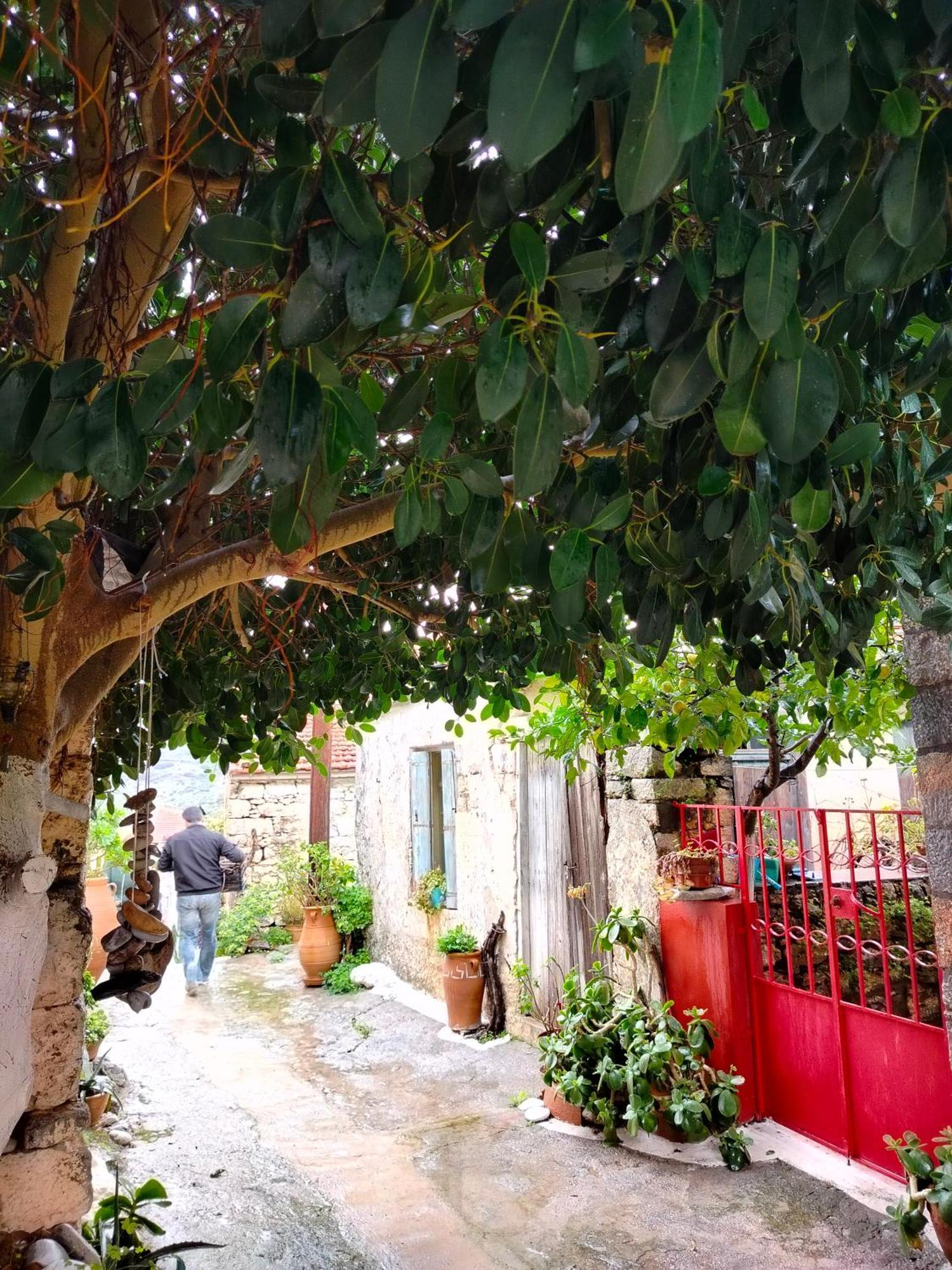 Apartment Nektarios