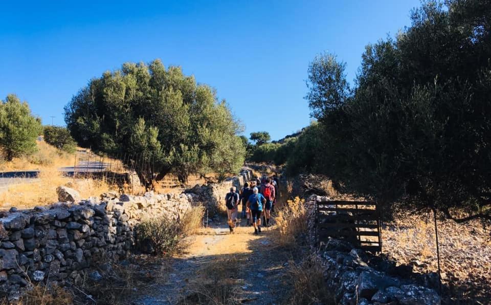 Nektarios * Neápolis
